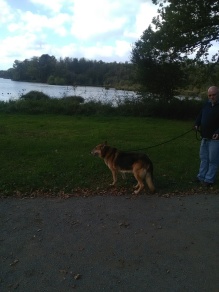 Walking at the lake
