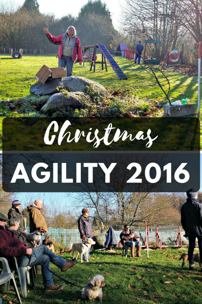 Grande Daze Christmas agility 2016