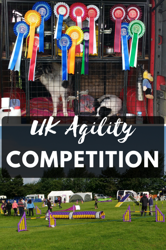 Grande Daze UK agility competition 2016